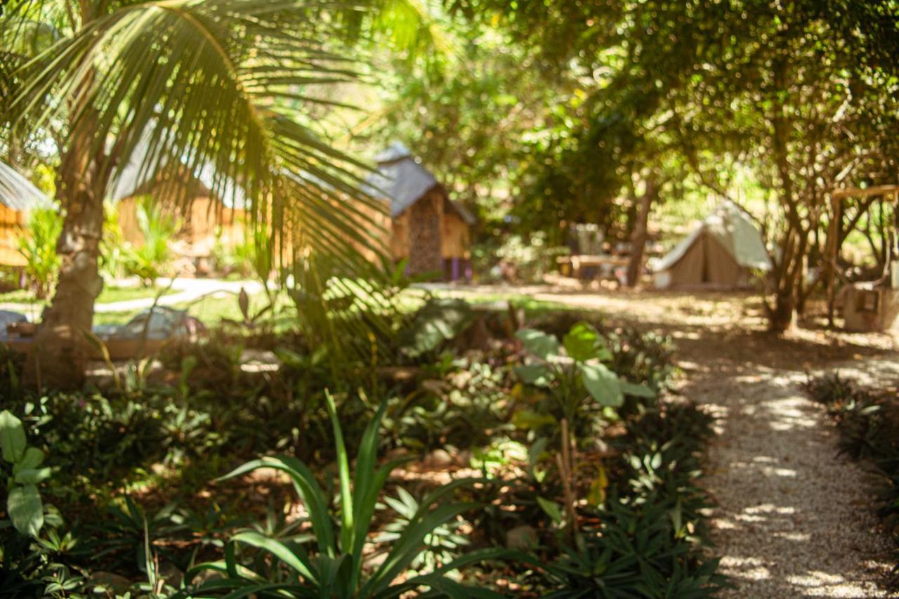 Lost Boyz Hostel Playa Santa Teresa  Zewnętrze zdjęcie
